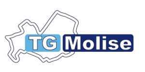 tg molise